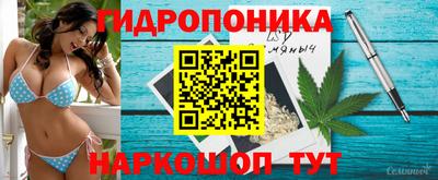 гашиш Тара