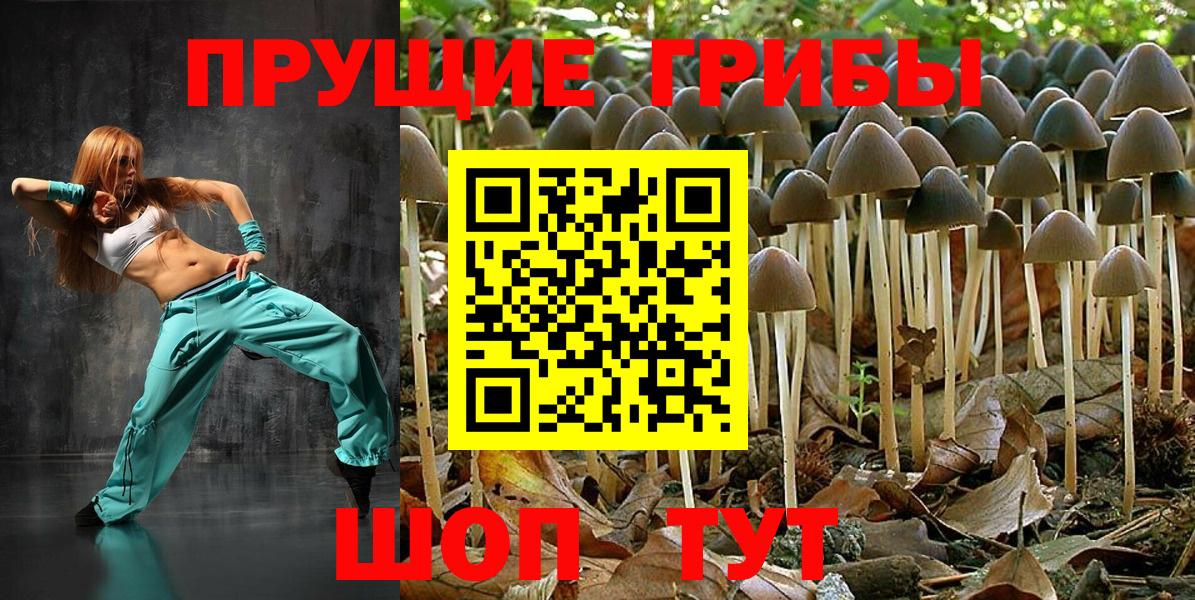 Галлюциногенные грибы мухоморы Нижнекамск